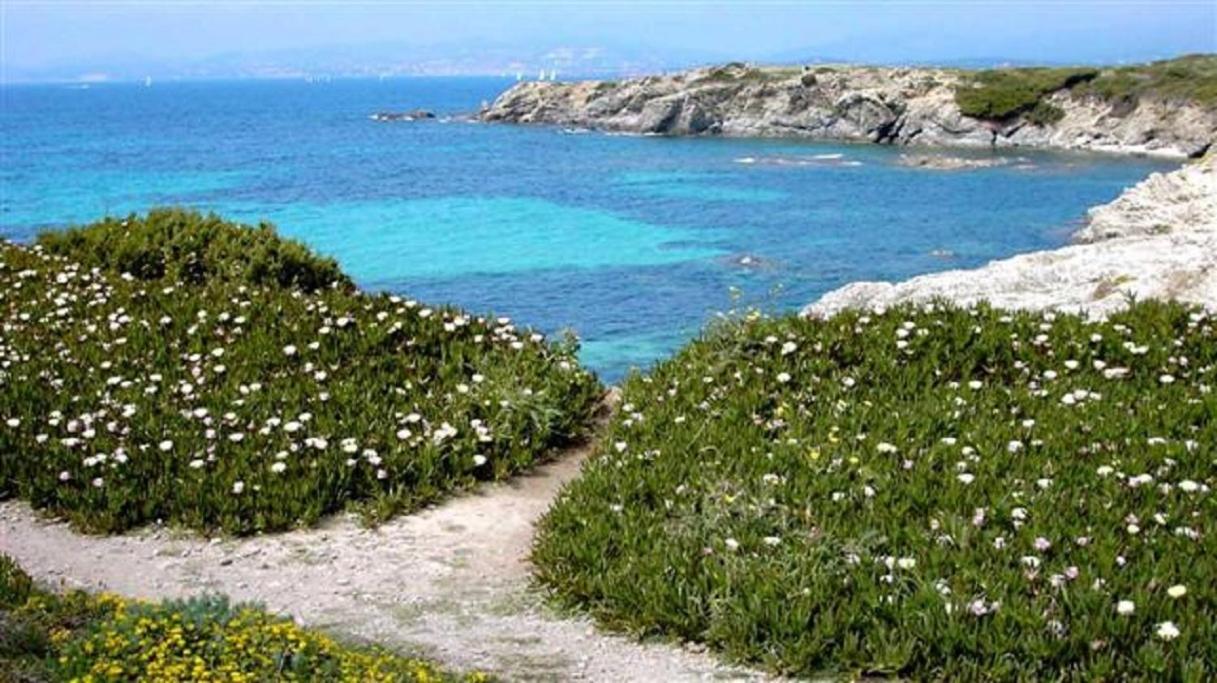Villa Spacieuse, Climatisation, Piscine, Jardin Paysage, Proche Mer Saint-Cyr-sur-Mer Exterior foto